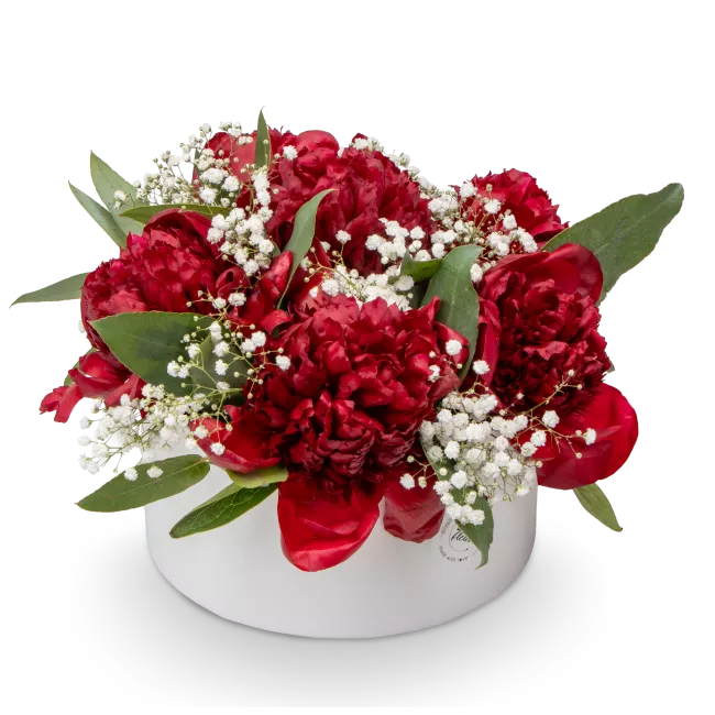 Box červených pivoněk